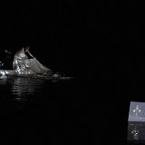 Zurchaudefonds-143960