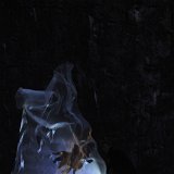 Zurchaudefonds-144042