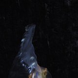 Zurchaudefonds-144044