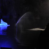 Zurchaudefonds-144256