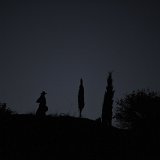 zurchaudefonds-144406