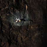 zurchaudefonds-144426