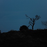 zurterschelling-137263