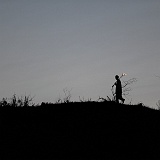 zurterschelling-137276