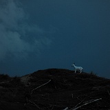 zurterschelling-137561