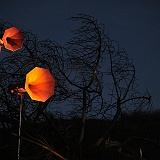 zurterschelling-138691