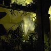 05-vernazza-68823